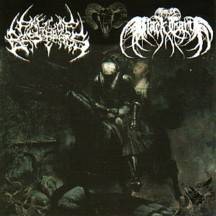 Fall Of The Bastards : Fall Of The Bastard - Book Of Black Earth